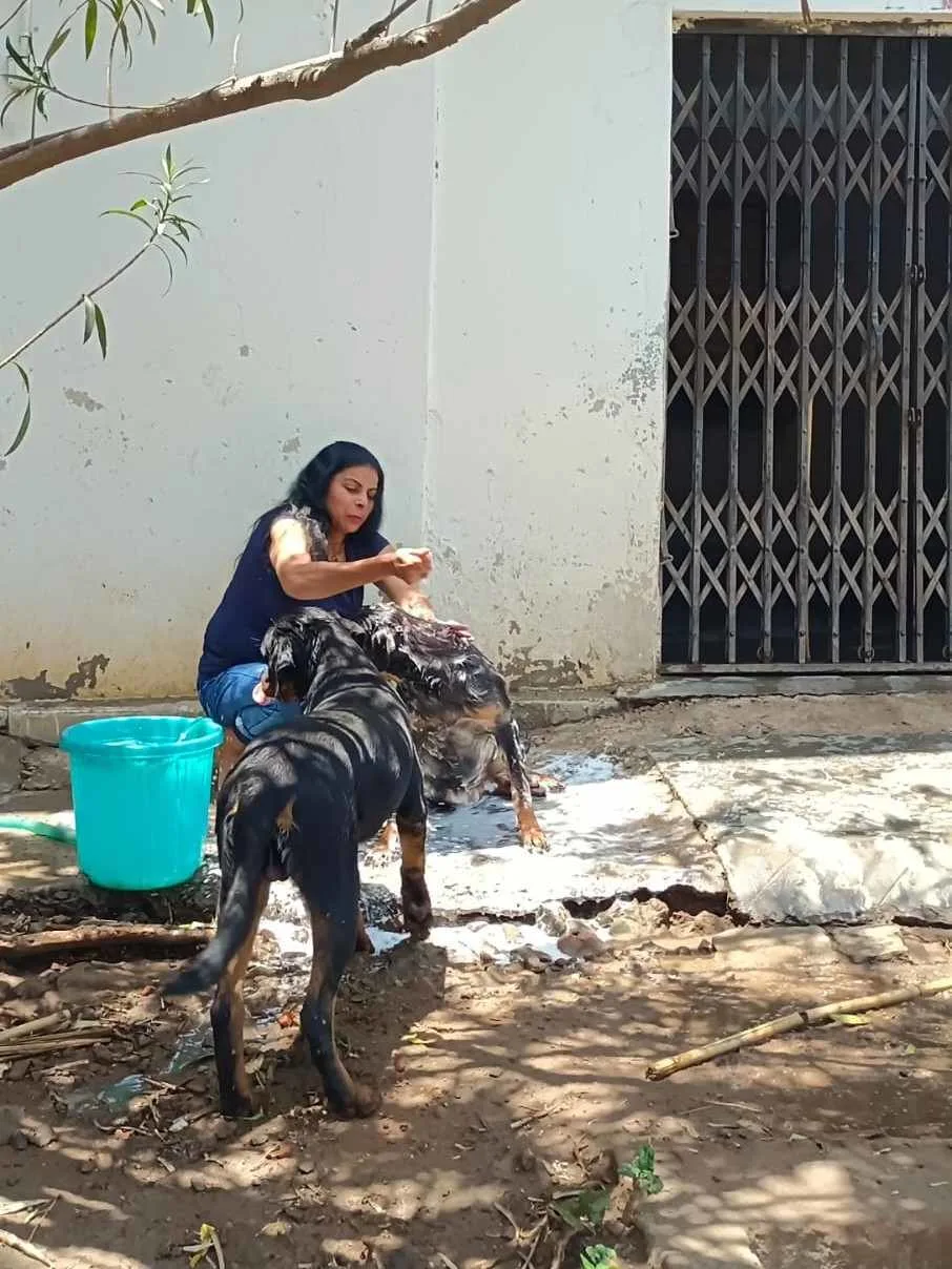 Animal welfare moment 7